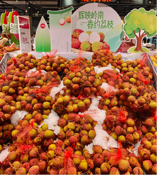 重生的TA | 一颗荔枝的轮回：从“靠天吃饭”到科技丰产  第2张