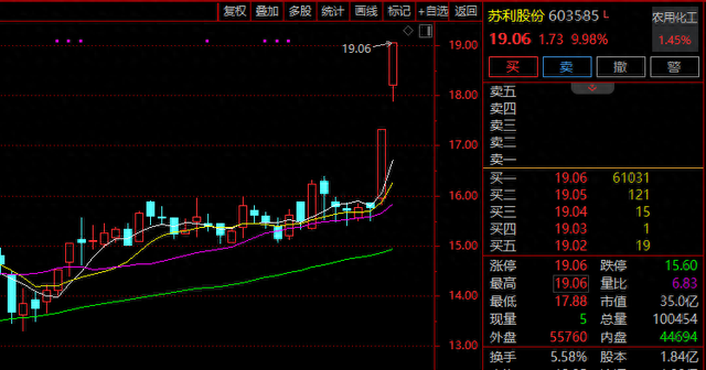 不到2分钟，垂直封板！A股又一赛道，涨停潮！  第1张