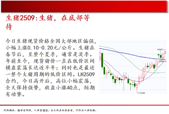 中天期货:原油继续走低 螺纹窄幅震荡  第4张