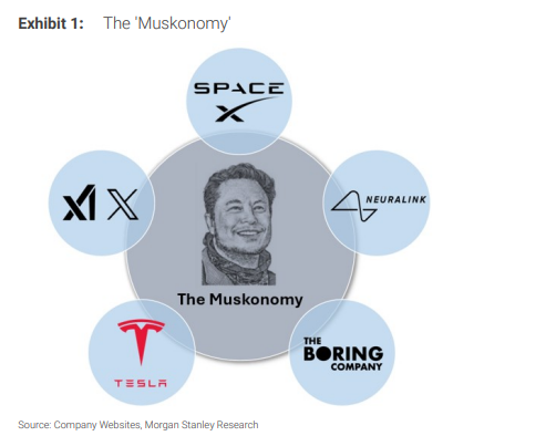 大摩:市场低估了xAI对特斯拉的意义,FSD 14.3或将成为自动驾驶的“蒸汽机时刻” 第1张 大摩:市场低估了xAI对特斯拉的意义,FSD 14.3或将成为自动驾驶的“蒸汽机时刻” 第1张