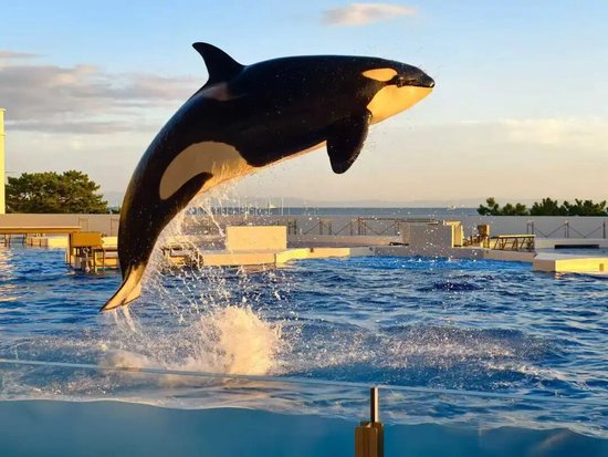 2025年Q3人身险行业偿付能力全景透视:九成险企承压背后 第1张 2025年Q3人身险行业偿付能力全景透视:九成险企承压背后 第1张