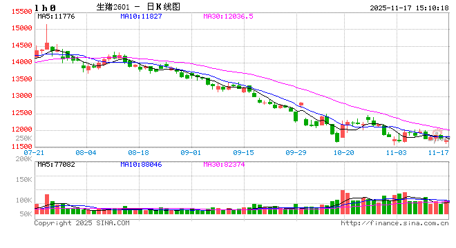 生猪屠宰毛利:历史毛利运行态势以及2026年预判 第2张 生猪屠宰毛利:历史毛利运行态势以及2026年预判 第2张