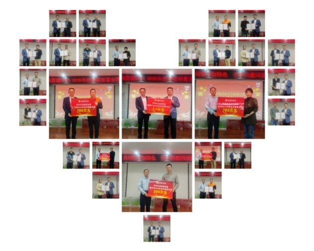 双蚁药业召开双蚁祛湿通络胶囊全国市场动员大会 共谋合作新篇章 第8张 双蚁药业召开双蚁祛湿通络胶囊全国市场动员大会 共谋合作新篇章 第8张