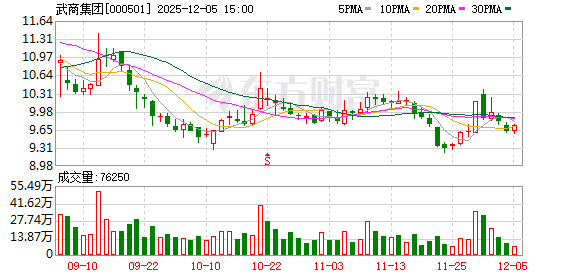 武商集团：分红完全遵循合规与公平原则  第1张