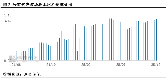 缓慢去产进程中 12月云南蛋价还有上涨空间吗? 第4张 缓慢去产进程中 12月云南蛋价还有上涨空间吗? 第4张