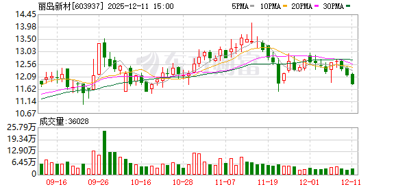 丽岛新材：截至2025年12月10日公司股东人数为13831户  第1张