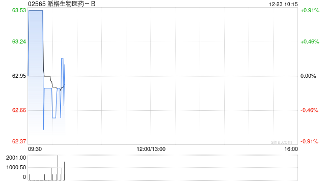 派格生物医药-B完成发行合共513.6万股配售股份  第1张