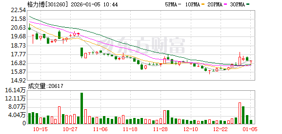 格力博：公司 IPO 募投项目已详细披露，无任何项目涉及人形机器人相关投入  第1张