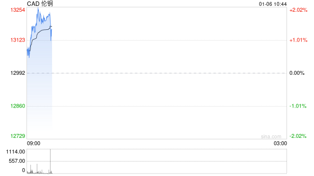 快讯：伦敦铜价涨幅扩大突破每吨13100美元，续创新高  第2张