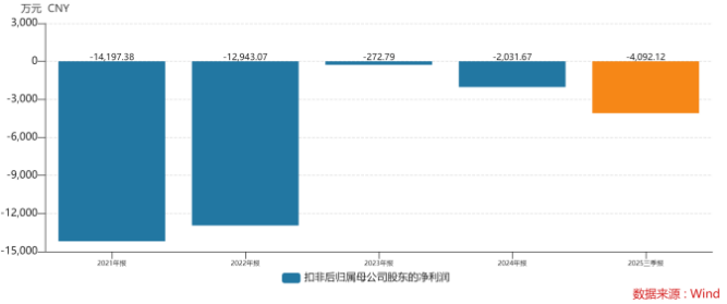 年亏数千万，连续五年扣非为负，惠发食品深陷“扩张困局”  第1张