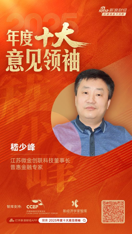 江苏微金创联科技董事长、普惠金融专家嵇少峰荣膺“2025年度十大意见领袖”  第1张