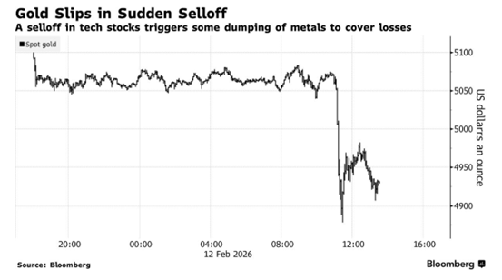 ATFX：AI抛售突袭！金银大跌后今晚美国CPI将定夺方向  第1张