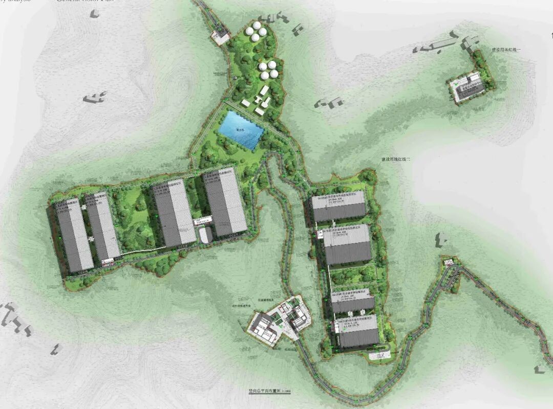 恒丰银行为新春“肉篮子”添“金” 第3张 恒丰银行为新春“肉篮子”添“金” 第3张