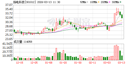 扬电科技：公司变压器产品出口主要为欧洲市场  第1张