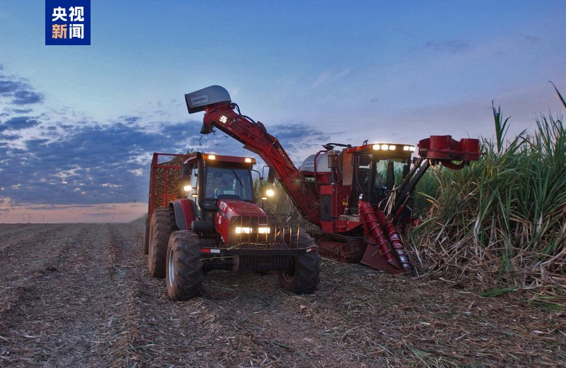 中东冲突推高能源成本 全球食品价格3月上涨  第1张