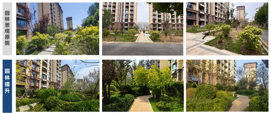 从滞销盘到区域标杆 远洋建管获委托方授予“最佳战友” 第2张 从滞销盘到区域标杆 远洋建管获委托方授予“最佳战友” 第2张